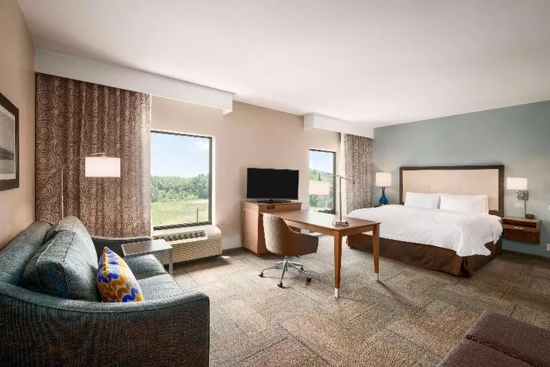 キングサイドベッドのスタンダードワンルーム, Hampton Inn & Suites Lavonia