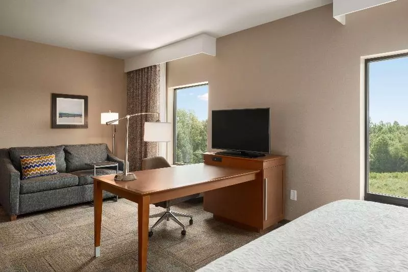 キングサイドベッドのスタンダードワンルーム, Hampton Inn & Suites Lavonia