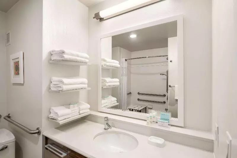 身障者適用スタンダードルーム, Hampton Inn & Suites Lavonia