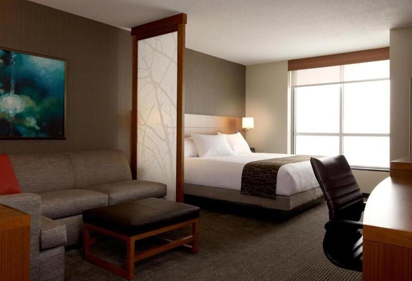 Номер Стандарт Кровать Кинг Адаптированный для Инвалидов, Hyatt Place At The Hollywood Casino Pittsburgh South