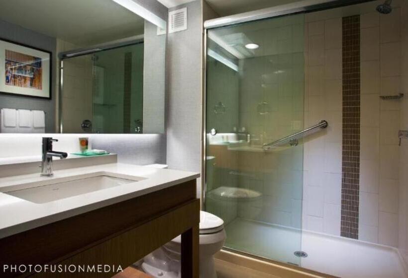 Номер Стандарт Адаптированный для Инвалидов, Hyatt Place At The Hollywood Casino Pittsburgh South