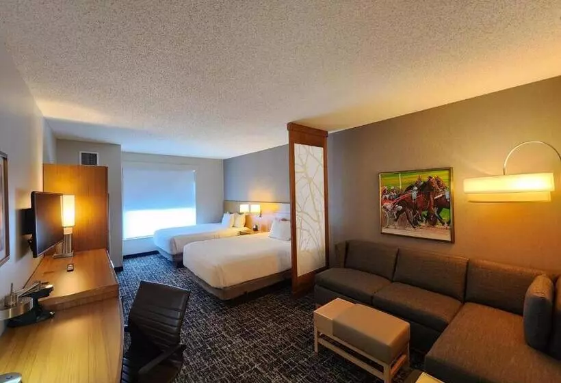 身障者適用スタンダードルーム, Hyatt Place At The Hollywood Casino Pittsburgh South