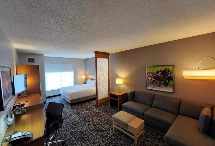 身障者適用スイートルーム, Hyatt Place At The Hollywood Casino Pittsburgh South