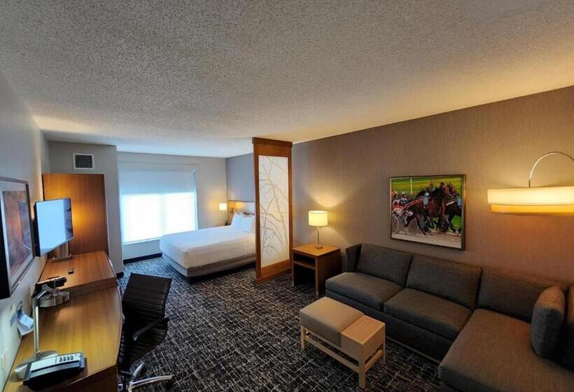 Люкс Кровать Кинг, Hyatt Place At The Hollywood Casino Pittsburgh South
