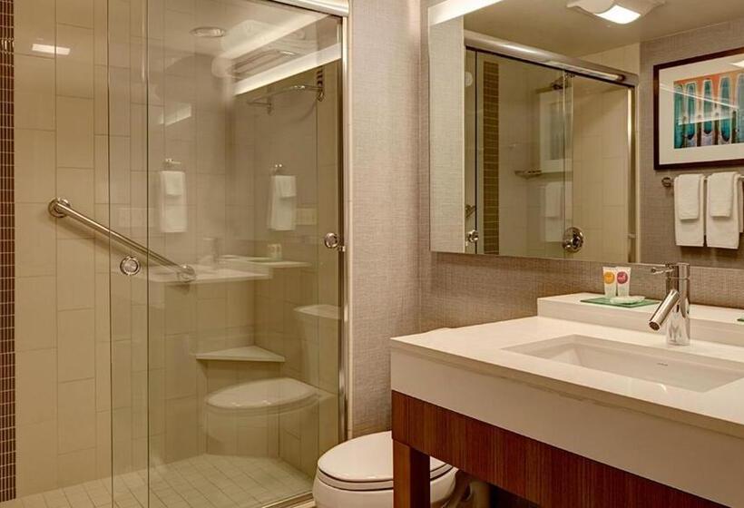 Номер Стандарт 2 Двуспальные Кровати, Hyatt Place At The Hollywood Casino Pittsburgh South