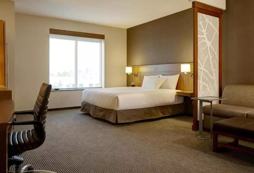 キングサイズベッドのスタンダードルーム, Hyatt Place At The Hollywood Casino Pittsburgh South