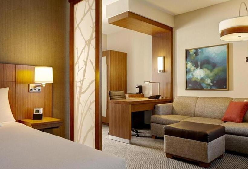 Стандартный Номер Кровать Кинг, Hyatt Place At The Hollywood Casino Pittsburgh South