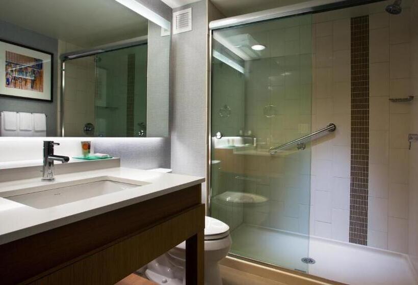 身障者適用キングサイズベッドルーム, Hyatt Place At The Hollywood Casino Pittsburgh South