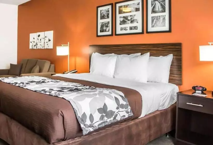 キングサイズベッドのスタンダードルーム, Sleep Inn & Suites Blackwell I35