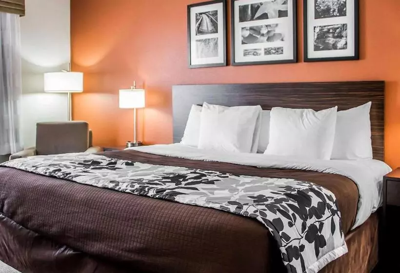 キングサイズベッドのスタンダードルーム, Sleep Inn & Suites Blackwell I35