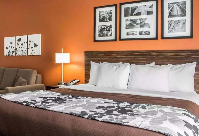 キングサイズベッドのスイートルーム, Sleep Inn & Suites Blackwell I35
