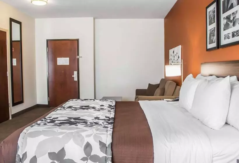 身障者適用スイートルーム, Sleep Inn & Suites Blackwell I35