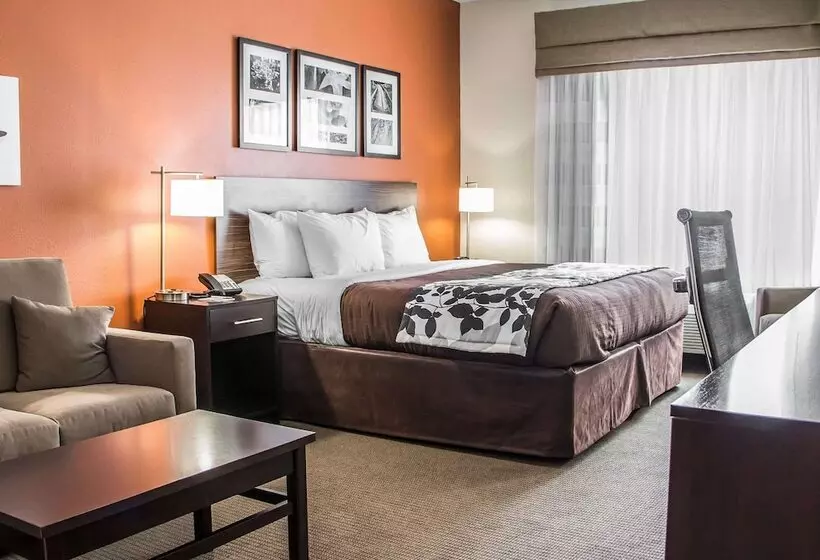 身障者適用スイートルーム, Sleep Inn & Suites Blackwell I35