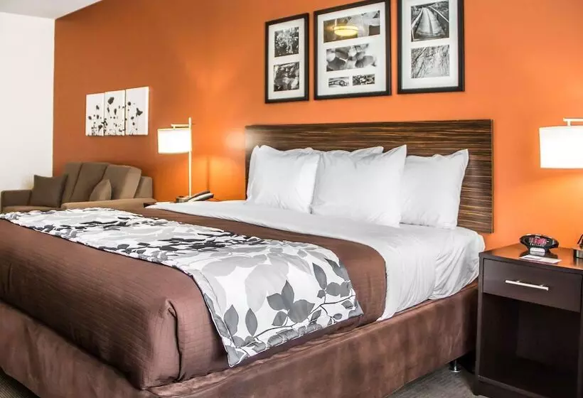 身障者適用スイートルーム, Sleep Inn & Suites Blackwell I35