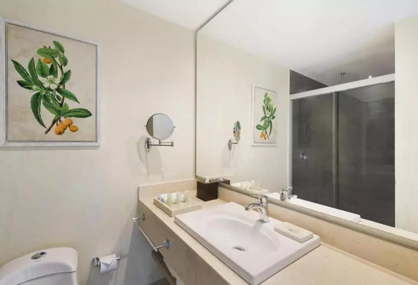 スタンダードルーム, Wyndham Garden Barranquilla