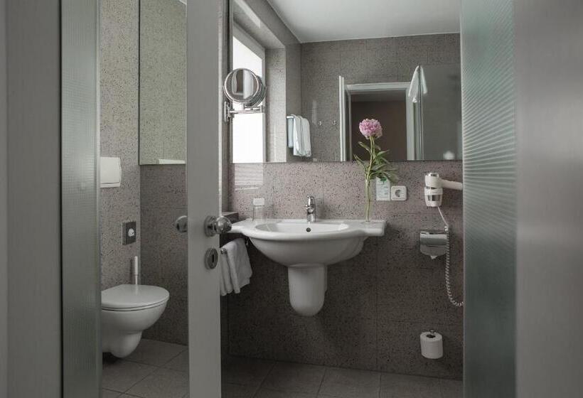اتاق اکونومی یک تخته, Parkhotel Schmid