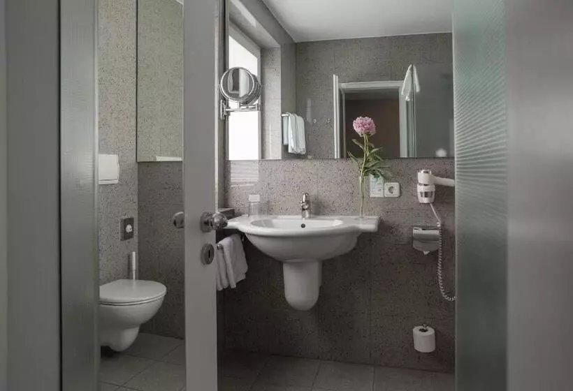 Economy Yhden Hengen Huone, Parkhotel Schmid
