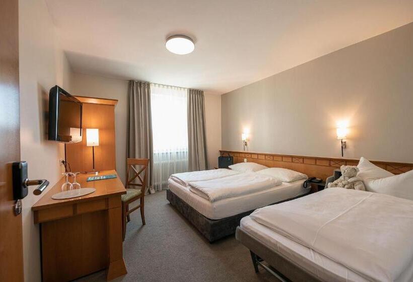 اتاق استاندارد, Parkhotel Schmid