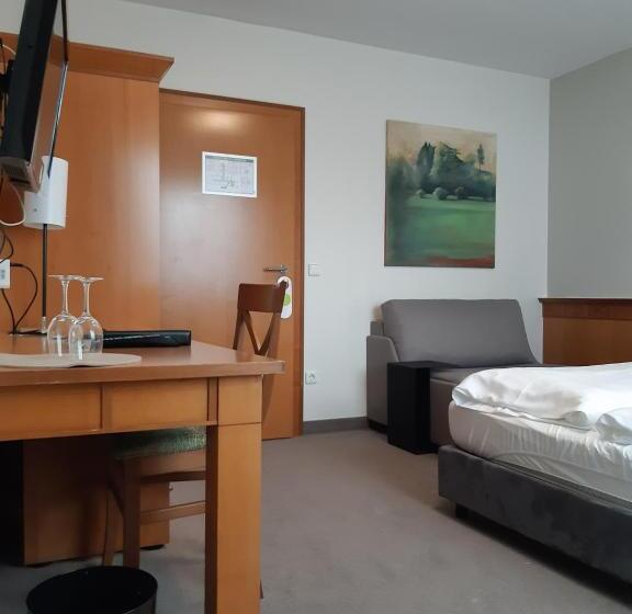 غرفة قياسية, Parkhotel Schmid