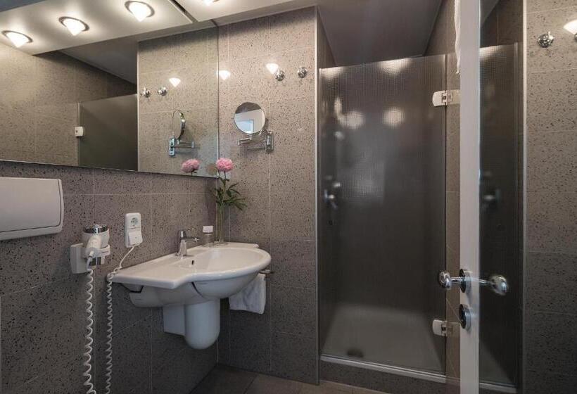 غرفة قياسية, Parkhotel Schmid