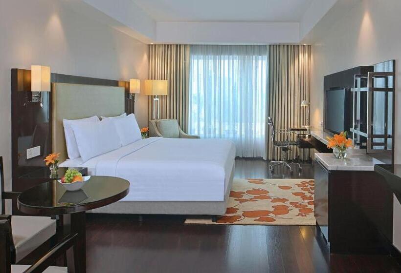 اتاق اجرایی با مشاهده, Radisson Hotel Agra