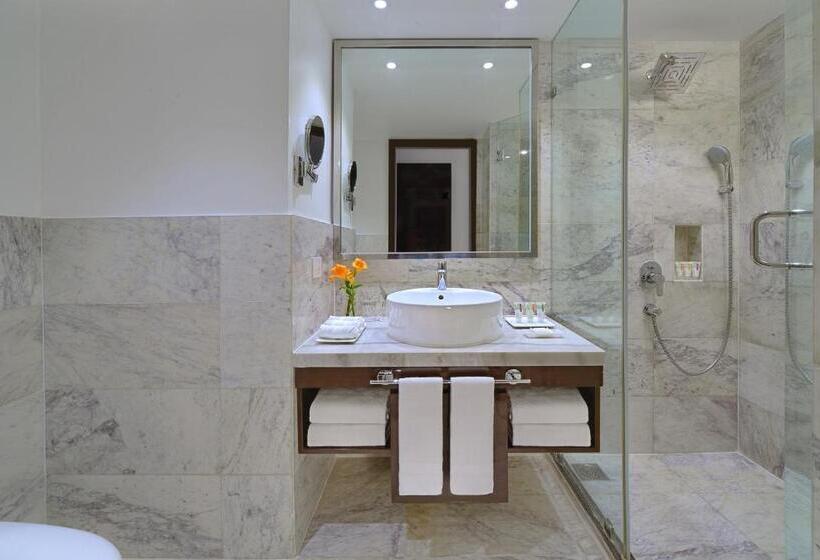 اتاق استاندارد, Radisson Hotel Agra