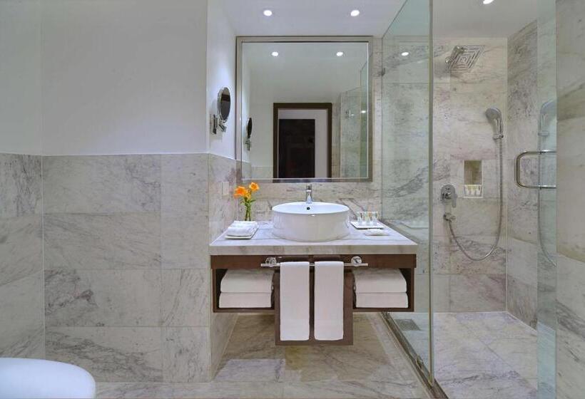 اتاق استاندارد, Radisson Hotel Agra