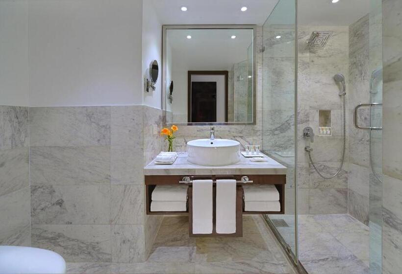 اتاق سوپریور با چشمانداز, Radisson Hotel Agra