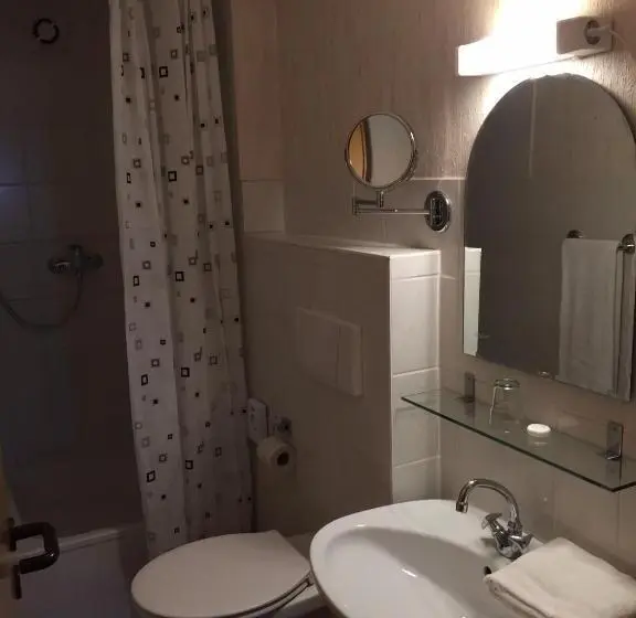 エコノミーシングルルーム, Landhotel Grätz