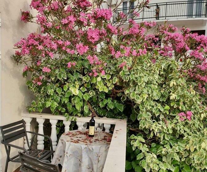 استودیوی استاندارد با چشم‌انداز دریا, Apartmani Kažanegra33