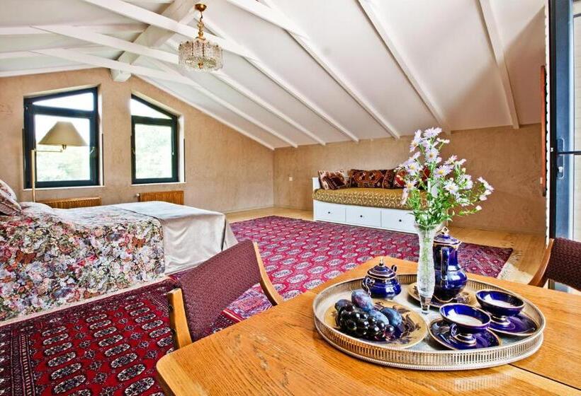 اتاق استاندارد با چشمانداز کوهستان, Marani Elizbar1918