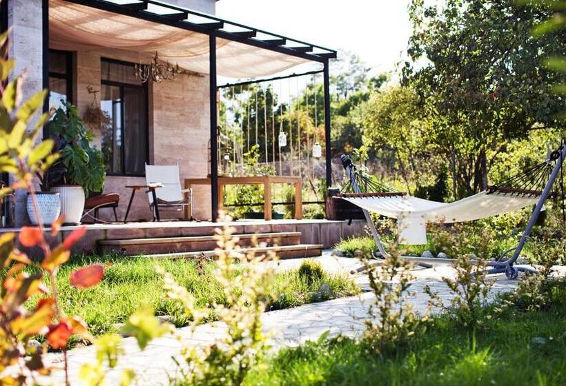 ویلای یک اتاق خوابه با استخر شنا, Marani Elizbar1918