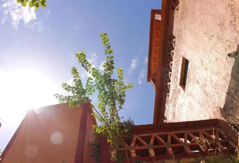 庭の見えるシングルルーム, Riad Gabsi Dades