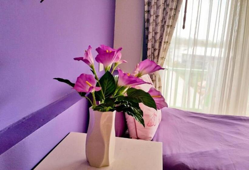 수피리어 룸, Ben's House