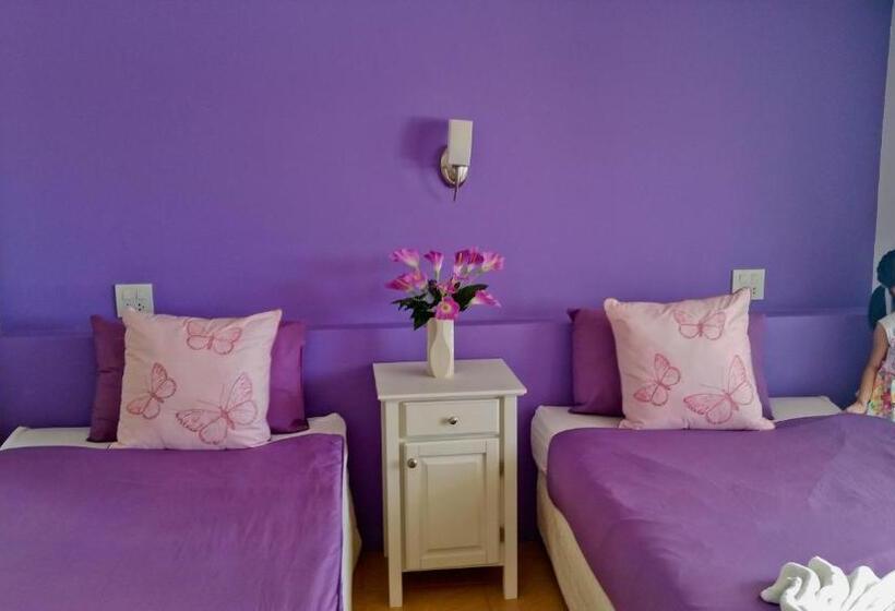 수피리어 룸, Ben's House