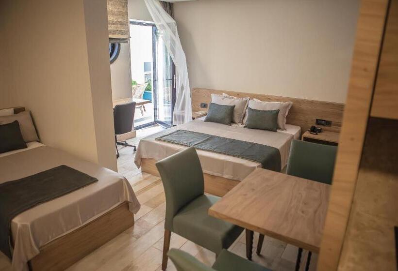 סטודיו סטנדרטי נוף לגינה, Cuci Hotel Di Mare Bayramoglu