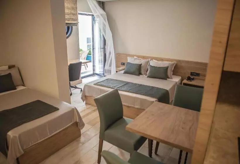 ガーデンビューのスタンダードワンルーム, Cuci Hotel Di Mare Bayramoglu