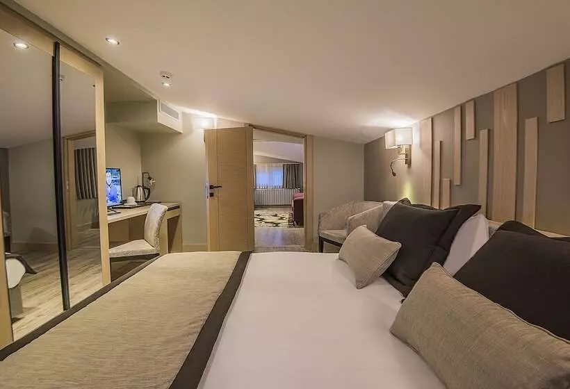 スタンダードルーム, Cuci Hotel Di Mare Bayramoglu