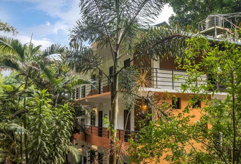اتاق لوکس, Spice Jungle Resort