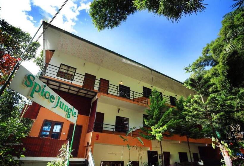 اتاق لوکس, Spice Jungle Resort
