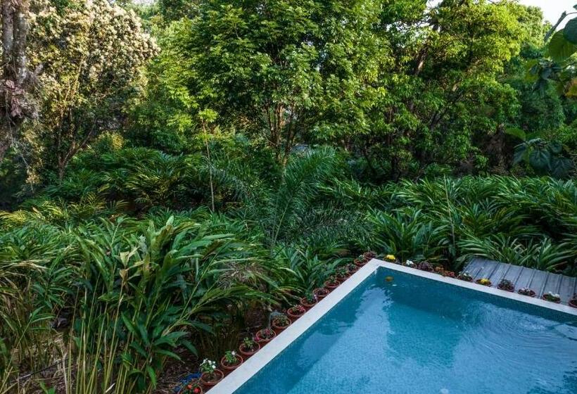 اتاق لوکس, Spice Jungle Resort