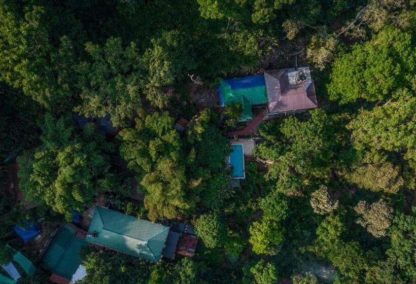 اتاق لوکس, Spice Jungle Resort