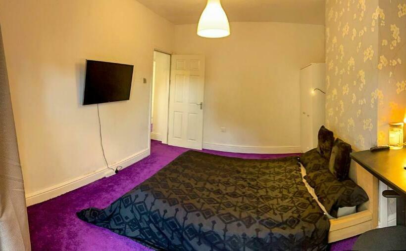 标准间, Wolves Living