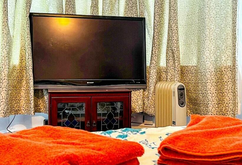 标准间, Wolves Living