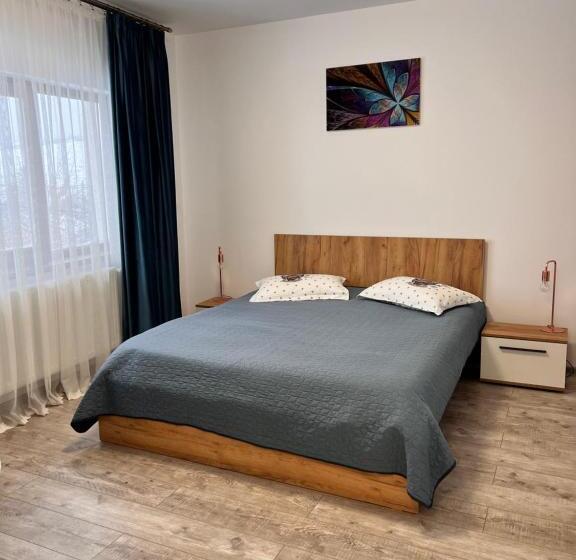 غرفة ديلوكس, Agropensiunea Vila Cristina