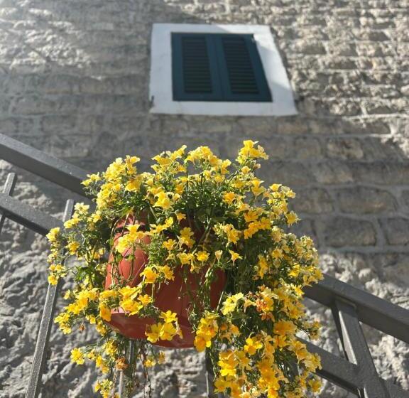آپارتمان 1 خوابه, Lavanda