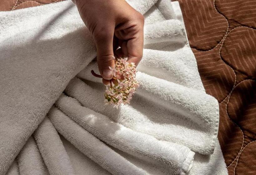 이코노미 싱글 룸, Anna Katerina Apartments