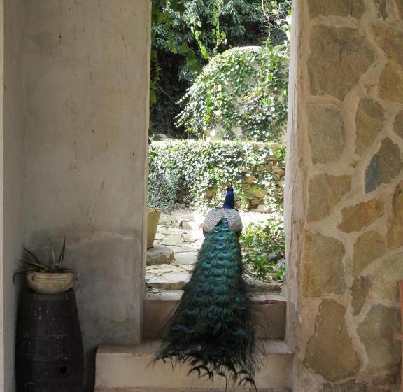 غرفة أساسية, Candalù Hotels   Villa Giardinata