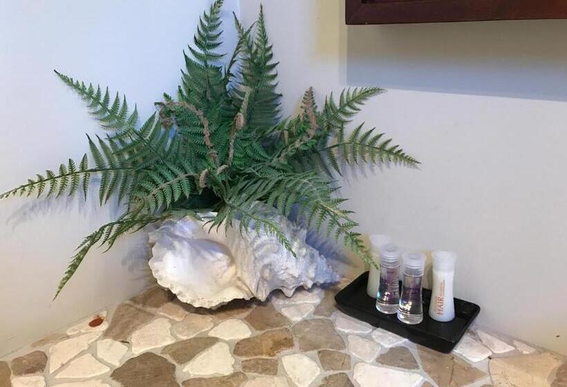 جناح, Cambridge Coach House