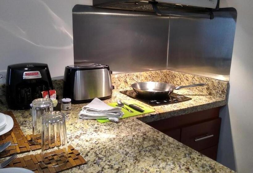 شقة سوبريور غرفة واحدة, Suites La Concordia